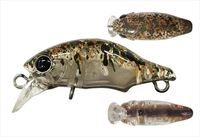 X~X gEgvO pybg T[tFX }`ybg 10yz