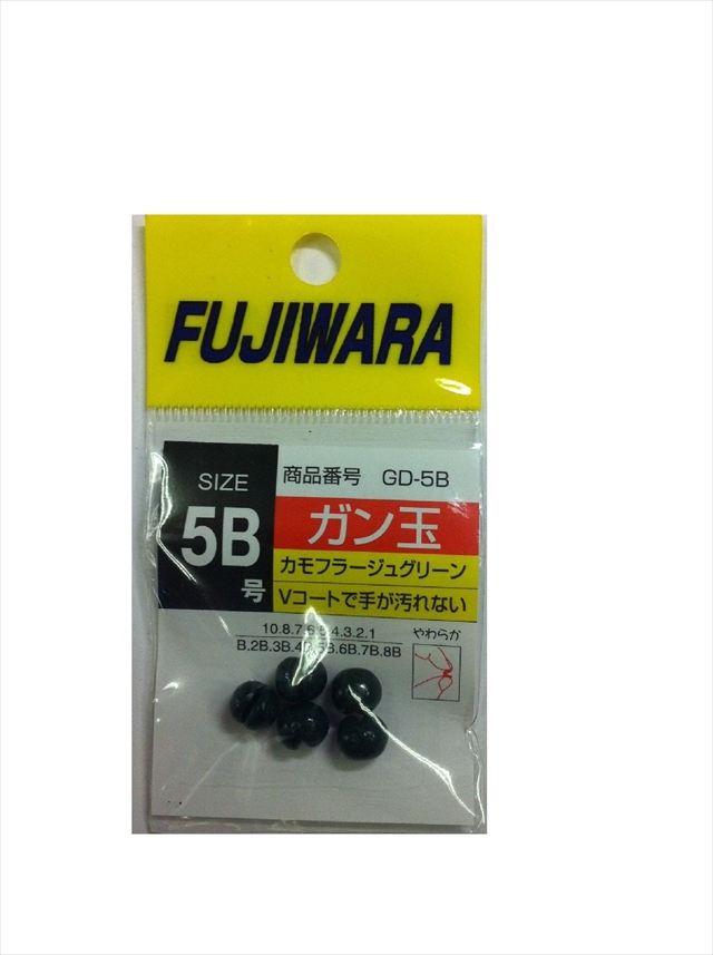 �t�W���� �K���� �J���t���[�W���O���[�� 5B