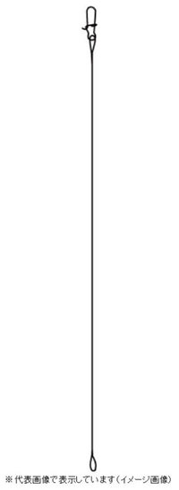 �t�W�����@���C���[���[�_�[�@�Q�P����