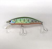 �W���N�\�� �g���E�g�v���O ���e�I�[�� ���� LYM ���}��