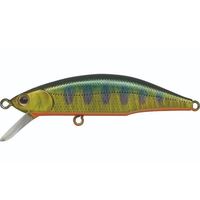 �W���N�\�� ���e�I�[�� 63 SKY �L�����}��