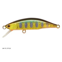 WN\ gEgvO eI[ 45 SKY L}