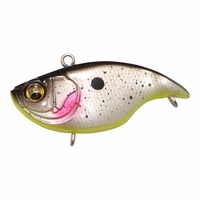 KoX oCu[VX }CN TCg S}VI