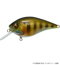 KoX THE KNUCKLE (ibN) LD PM ChM