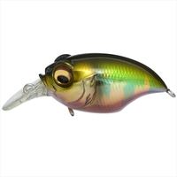 KoX NEW SR-X OtH aICJ