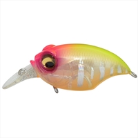 KoX NEW SR-X OtH n`[ANV