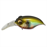 KoX New MR-X OtH aICJ