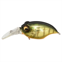 KoX New MR-X OtH GG JX~^CK[