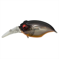 KoX NEW MR-X OtH GG Nf