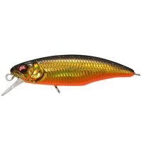 KoX X-52 ACROBAT (S) GG KoXLNyz