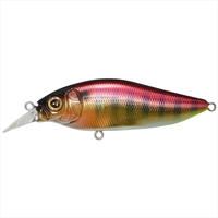 KoX tbv Xbv M Gh}bNX