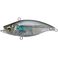 KoX JbgoCu 55 GP nN{