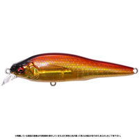 KoX X-80SW LBO SHALLOW GG LAJyz