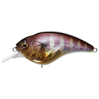 KoX SONICSIDE (\jbNTCh) GG M