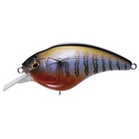 KoX SONICSIDE (\jbNTCh) V[NbgM