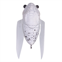 KoX TINY SIGLETT (^Cj[VO) FFzCgo^tC