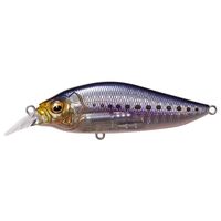 KoX tbvXbvSW 77 LBO GGCV