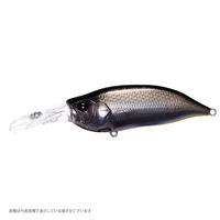 KoX hwh rg`ciACoCAC Vbhj sxod-Q MNV[S