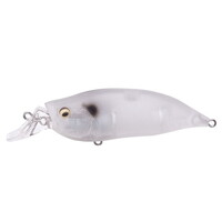 KoX oXA[ IXI SHAD TYPE-R V[NbghCACXyz