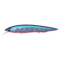 KoX KANATA  SW(Ji^ SW) LZ u[sNCV