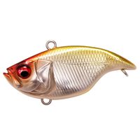 KoX oCu[VX _Ci RATTLE IN (gC) M EGX^NE