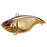 KoX oCu[VX _Ci RATTLE IN (gC) M VpLN