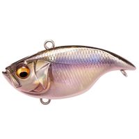 KoX oCu[VX _Ci RATTLE IN (gC) JX~ITO