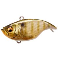 KoX oCu[VX _Ci RATTLE IN (gC) GLX MNV[M