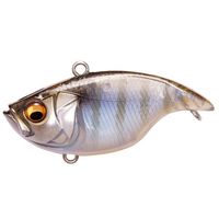 KoX oCu[VX _Ci SILENT (TCg) Mbq DNA