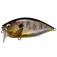 KoX O.R.C(I[o[uNN) GG M