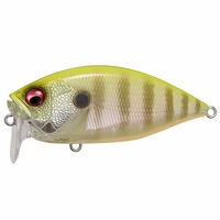 KoX O.R.C(I[o[uNN) PM `[gobNM