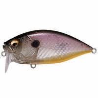 KoX O.R.C(I[o[uNN) PM i`ANV