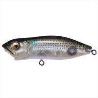 KoX C SWING HOT(XCzE) GP CibRyz