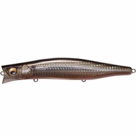 KoX JQE 155F GG RmV ll1_ X܂Ōϕsyz