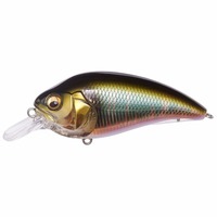 KoX SUPER-Z (X[p[W[) Z1 aICJyz