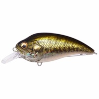 KoX SUPER-Z (X[p[EW[) Z1 GG oXyz