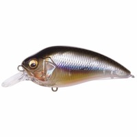 KoX SUPER-Z (X[p[W[) Z1 JX~ITO