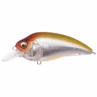 KoX SUPER-Z (X[p[W[) Z1 GLX EGX^NEII