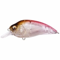 KoX SUPER-Z (X[p[W[) Z1 GP RbgJTMyz