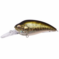 KoX SUPER-Z (X[p[W[) Z2 GG oX