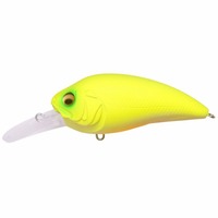 KoX SUPER-Z (X[p[W[) Z2 h`[gyz