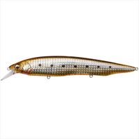 KoX KANATA  SW(Ji^ SW) ICT[fB