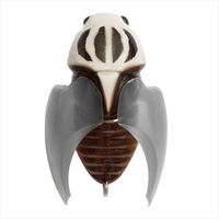 Ҷ޽ BEETLE-X HOVER CRAWL(ްXް۳) ײѸ