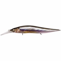 KoX VISION ONETEN+1 Jr. (evX WjA) JX~ITO