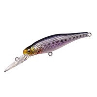 KoX V[oXA[ }[QCSW DD CV 50183yz