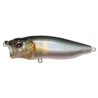 KoX oXA[ POPMAX(|bv}bNX) FA Ayz