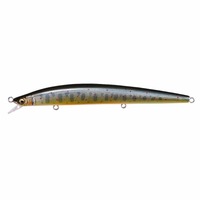 ���K�o�X �g���E�g�v���O GH120 �^�N�~�C���i�y���������z