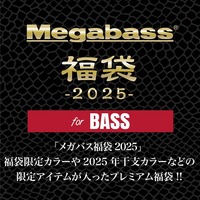 ���K�o�X  2025 Megabass���� BASS SET