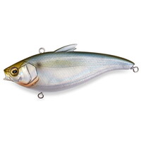 KoX V[oXA[ n_oCu SH Tbpyz