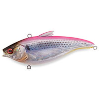 KoX V[oXA[ n_oCu GG sNobNRmVyz